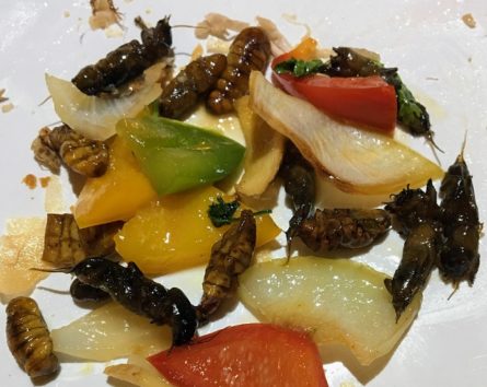カイコとコオロギと野菜炒め物(Photo by 朝比奈)