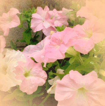 友達や意中の相手、英語ではどう誘う?(Photo by Kayla)