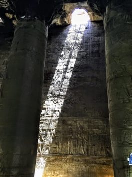 まるで栞のよう(Photo by 朝比奈)
