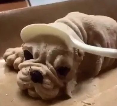 可愛くてトロケそう…!?