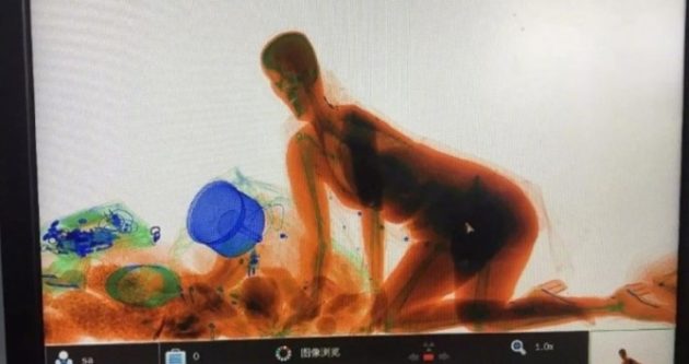 検査官も仰天して思わず写真を保存していた!