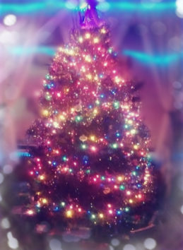皆さんが素敵なクリスマス、そして2019年を元気に迎えられますように。(Photo by Austin)