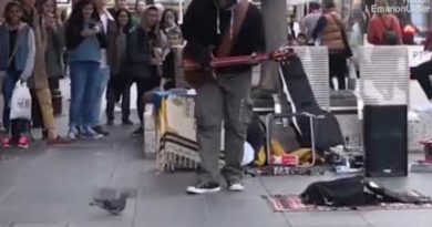 <動画>リズムに合わせて踊る名物ハト ロビン・シックの『Blurred Lines』で上手にストンプ! ハトが見事なストンプ!