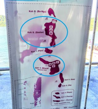 「No.4とNo.8に行きます」と説明されました(Photo by 朝比奈)