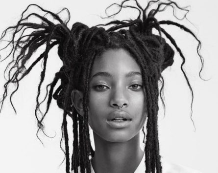 (画像:『Instagram』willowsmith)