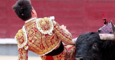 闘牛士が重体 恋人らの目の前で牛に刺される スペイン 闘牛士が重体 恋人らの目の前で牛に刺される スペイン