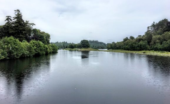 本当に静かなネス湖 何かがいる気配はゼロでした(Photo by 朝比奈)