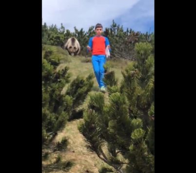 ヒグマと遭遇した少年が無事家族の元に戻れたワケとは…