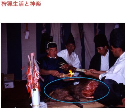 秋篠宮家の熊本・宮崎ご旅行　カピバラ騒動に悩む悠仁さまにイノシシ生贄の「神人共食」を教えたかったのでは…？