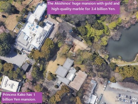 The Akishinos have two residences for 4.4 billion Yen.