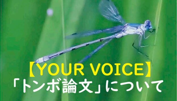 トンボ論文【YOUR VOICE】
